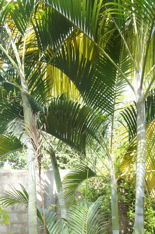 Little White House Hotel Trincomalee Buitenkant foto